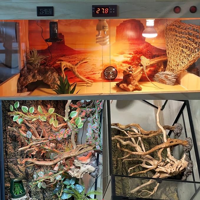 BNOSDM 2PCS Reptile Wood Branches Decor Lizard Habitat Decoration Snake Climbing Branch Accessories Terrarium Tree Trunk Ornament for Bearded Dragon Gecko Frog Chameleon Spider BNOSDM