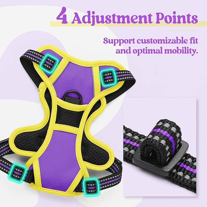 rabbitgoo Dog Harness No Pull with 2 Leash Clips, Adjustable Soft Padded, Reflective Oxford No Choke Pet Vest with Easy Control Handle for Puppy, Purple & Yellow, XS rabbitgoo