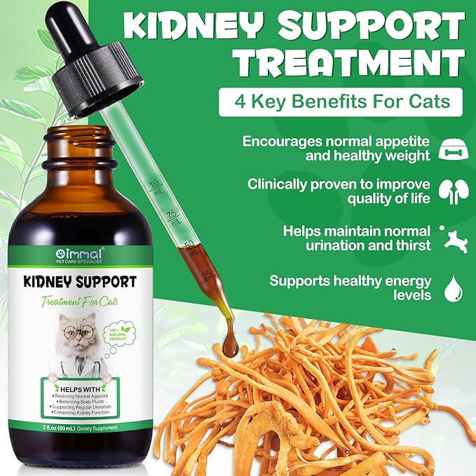 ALIVO Liver Support for Cats, Liver and Kidney Support for Cats with Natural Herbal Extract Helps Balance Cats Liver & Kidneys Health, Natural Pet Herbal Supplement for Cats - 60 ml PAWPICO