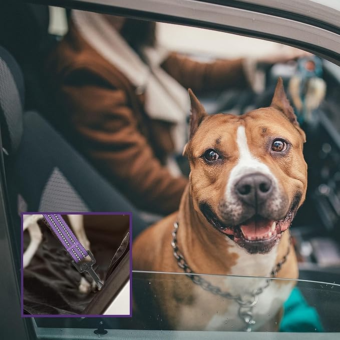 No Pull Dog Harness for Large Dogs, Adjustable No Choke Pet Vest with Dog Leash Fit Smart Reflective Pet Walking Harness for Training Easy Control Soft Handle Purple Camo L BUMBIN