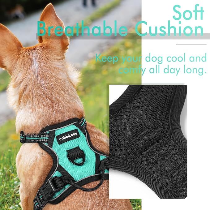 rabbitgoo Dog Harness, No-Pull Pet Harness with 2 Leash Clips, Adjustable Soft Padded Dog Vest, Reflective No-Choke Pet Oxford Vest with Easy Control Handle for Small Dogs, Turquoise, XS - PAWPICO