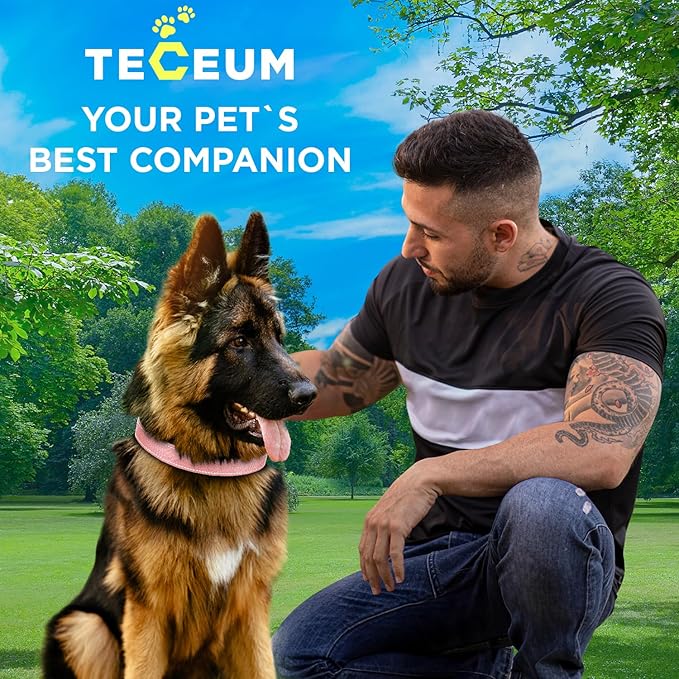 TECEUM Reflective Pet Collar – Pink – L – Basic Nylon Dog Collar – Quick Release Buckle – Fits Small, Medium and Large Dogs, Puppies, Cats – ESA & Service Dog Options TECEUM