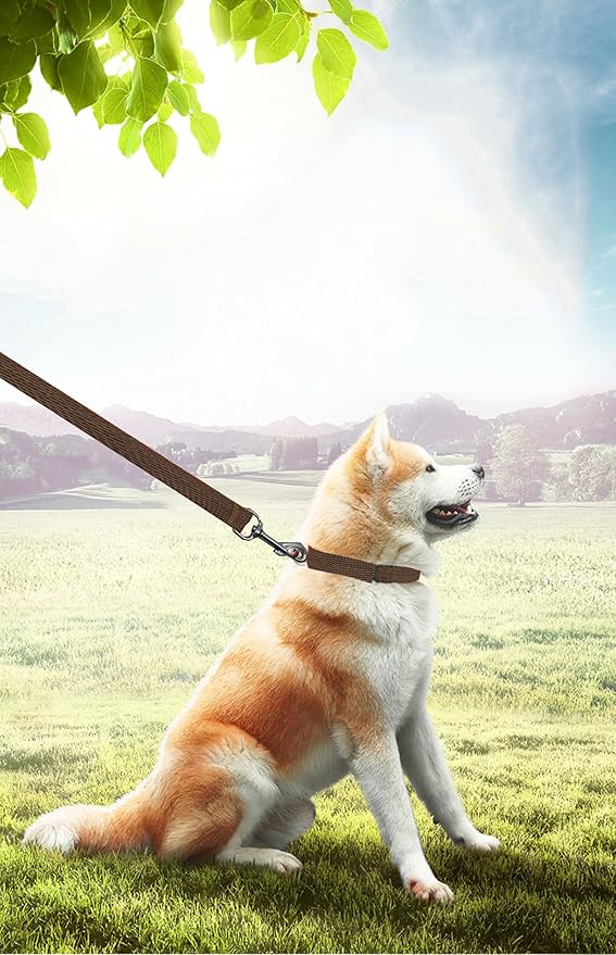 15ft 20ft 30ft 40ft 50ft Long Dog/Puppy Lead Obedience Recall Training Dog Leashes for Small Medium Dogs Camping, Training, Play, or Backyard (15 FT, Brown) PETGOGO