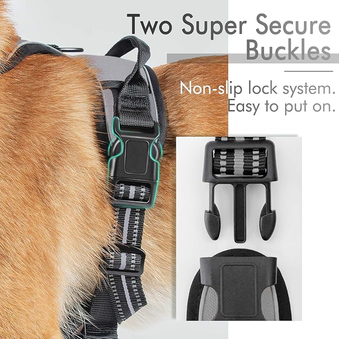 rabbitgoo Dog Harness, No-Pull Pet Harness with 2 Leash Clips, Adjustable Soft Padded Dog Vest, Reflective No-Choke Pet Oxford Vest with Easy Control Handle for Large Dogs, Grey, XL - PAWPICO