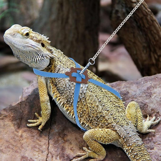 2 Pack Adjustable Reptile Harness and Leash for Lizard Gecko Bearded Dragon Outside Walk (Blue) Wontee
