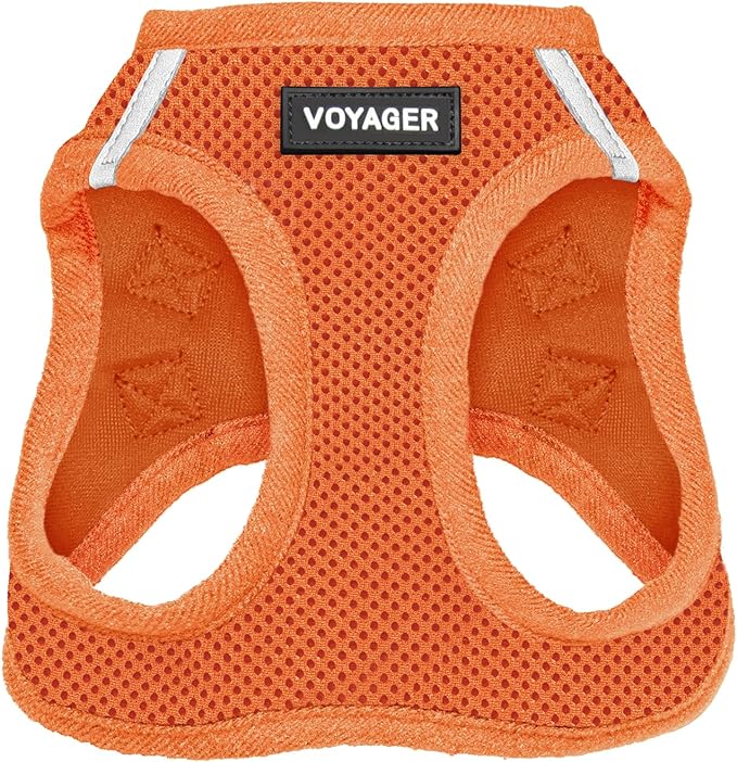 Voyager Step-In Air Dog Harness - All Weather Mesh, Reflective, No Pull Harness for Small, Medium Dogs, Cats - Secure with Hook & Loop Fastener, Buckle, Double D-Rings - Orange, XXS BestPetSuppliesLLC