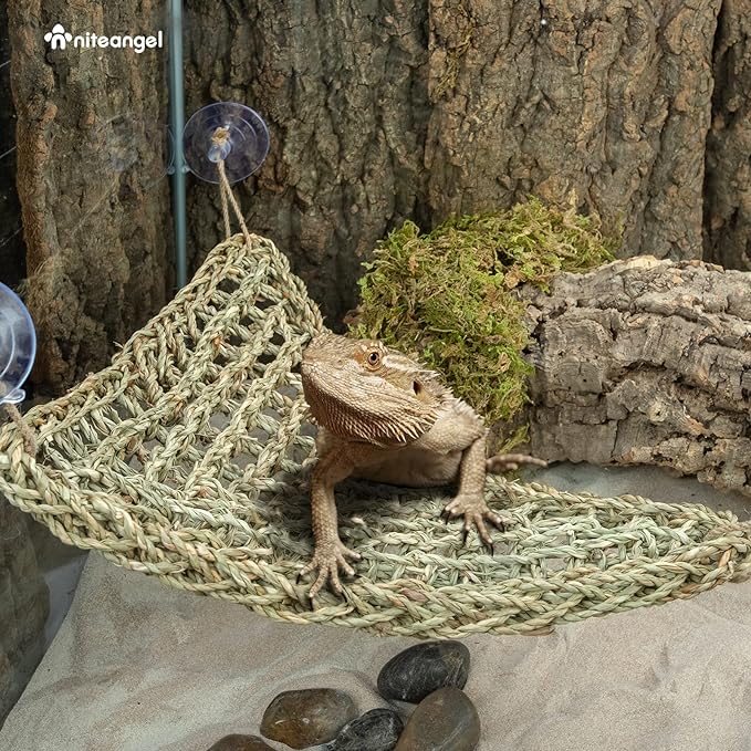 Niteangel Bearded Dragon Hammock Reptile Lounger for Chameleon, Lizards, Gecko, Snakes, Lguana Reptiles, Geckos (Triangle 17'' x 12.5'') Niteangel