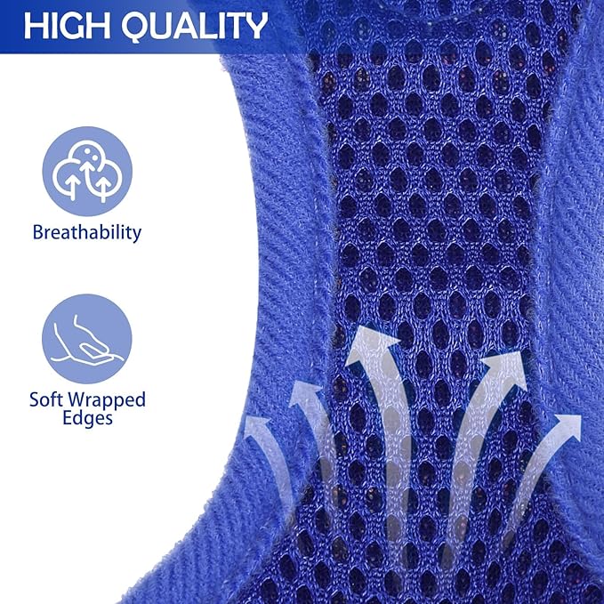 SCENEREAL Puppy Dog Harness with Leash Set for Small Medium Sized Dogs, Soft Mesh Step in Pet Harnesses and Leash, No Chock Plaid Adjustible No Pull Vest for Dogs Cats, Chihuahua,Bulldog (Blue XS) SCENEREAL