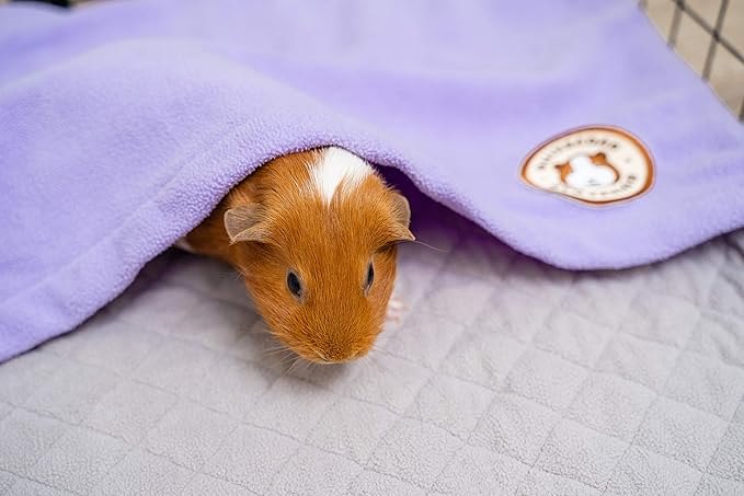 GuineaDad Original Liner - Purple Fleece Guinea Pig Bedding - Reusable Guinea Pig Cage Liner - Extra Absorbent with Waterproof Bottom and Burrowing Pocket - Small Pet Supplies - 2x3 C&C GuineaDad