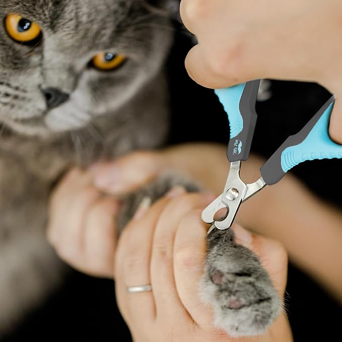 Mr. Pen- Cat Nail Clipper, Sky Blue & Dark Gray Cat Nail Trimmer, Cat Nail Clippers, Cat Claw Clippers, Cat Clippers for Nails, Pet Nail Clippers, Kitten Nail Clipper, Small Dog Nail Clipper - PAWPICO