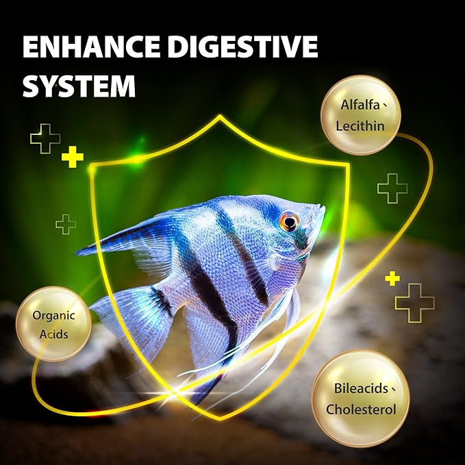 Purify Series for Cichlid Fish Food, Floating pellets, Nutritionally Balanced Professional Formula, Color Enhancing, All Natural Ingredients, Medium Granule, 2.12 oz (Pack of 2) GOODPARTNERFishFoodPurifySeries
