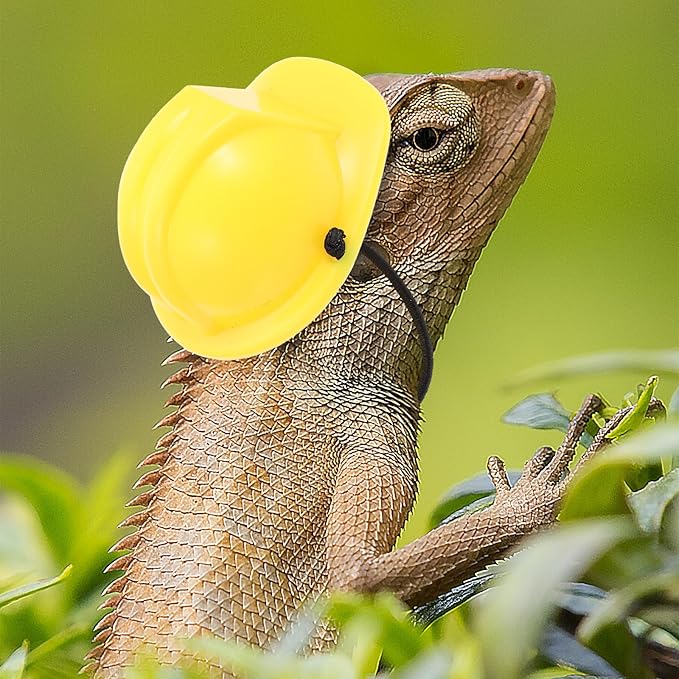 2pcs Bearded Dragon Hat Mini Pet Snake Hats with Chin Strap Small Reptile Helmet Tiny Pet Hat for Ball Python Small Animal Costume Clothing DIY Doll Crafts Lollipop UKCOCO%EF%BC%9ALightupabetterhome