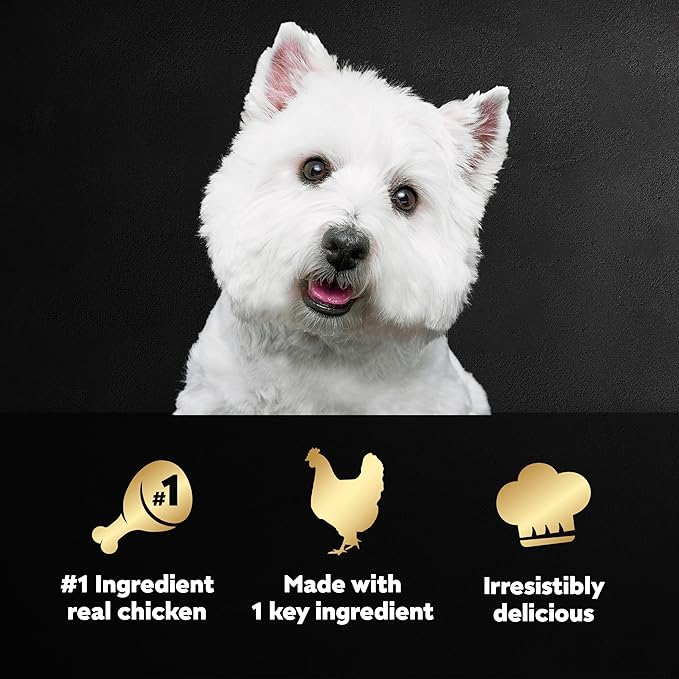 CESAR SIMPLY CRAFTED Adult Wet Dog Food Meal Topper, Chicken, (10) 1.3 oz. Tubs - PAWPICO