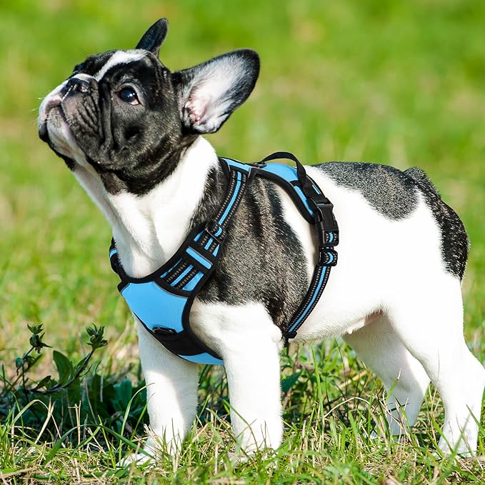 Eagloo Dog Harness Medium Sized Dog, No Pull Service Vest with Reflective Strips and Control Handle, Adjustable and Comfortable for Easy Walking, No Choke Pet Harness with 2 Metal Rings, Sky Blue, M GoExplorewithEagloo
