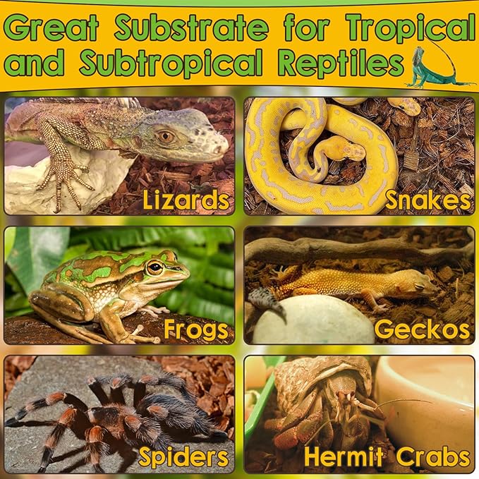 Halatool 6Pack Compressed Coconut Chips Brick Natural Coconut Husk for Reptiles Bedding Coco Coir Chips Terrarium Substrate for Ball Python Frog Snake Gecko Hermit Crab Tortoise HALATOOL