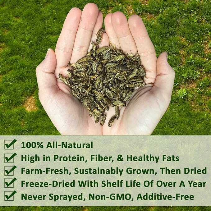 1.5 Pound Dried Crickets - High Protein Insect Treat - Chickens, Wild Birds, Hedgehogs, Bluebirds, Reptiles, Sugar Gliders, Opossums, Skunks, Lizards, Bearded Dragons, Fish, Turtles 8 oz. (3 Pack) ExoticNutrition