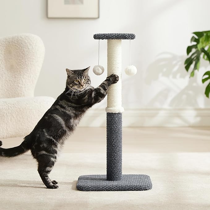 Lesure 29" Tall Cat Scratching Post - Premium Sisal Rope Highly Resistant Carpet Scratching Posts for Indoor Cats Adults, Sturdy Large Cat Scratch Pole with Hanging Ball, Grey(29 inch) - PAWPICO
