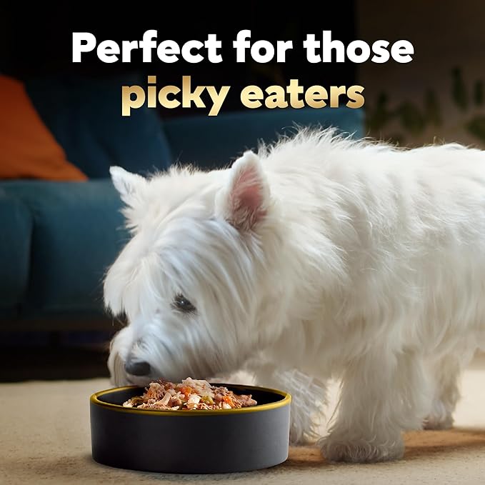 CESAR SIMPLY CRAFTED Adult Wet Dog Food Meal Topper, Chicken, Duck, Purple Potatoes, Pumpkin, Green Beans & Brown Rice, 1.3oz., Pack of 10 - PAWPICO