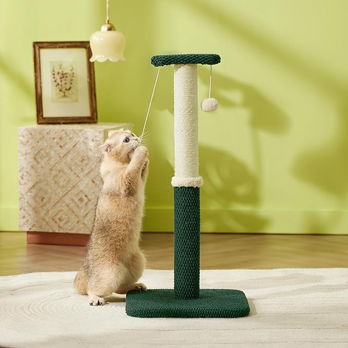 Lesure 29" Tall Cat Scratching Post - Premium Sisal Rope Highly Resistant Carpet Scratching Posts for Indoor Cats Adults, Sturdy Large Cat Scratch Pole with Hanging Ball, Green - PAWPICO