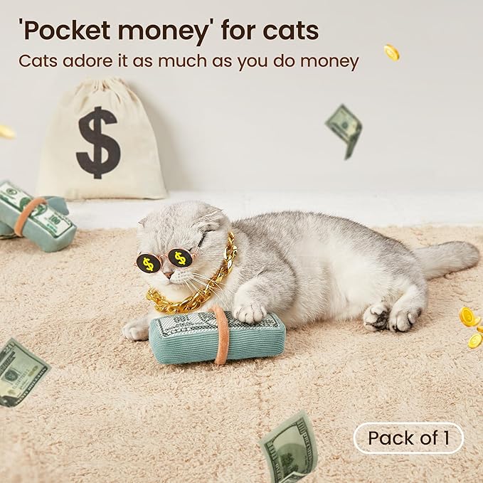 Potaroma Cat Toys US-Dollar Catnip Crinkly Sound Toy, Mesh Fabric for Teeth Cleaning, Interactive Kicker Toys for Indoor Kitten Exercise 6.0 Inches for All Breeds - PAWPICO