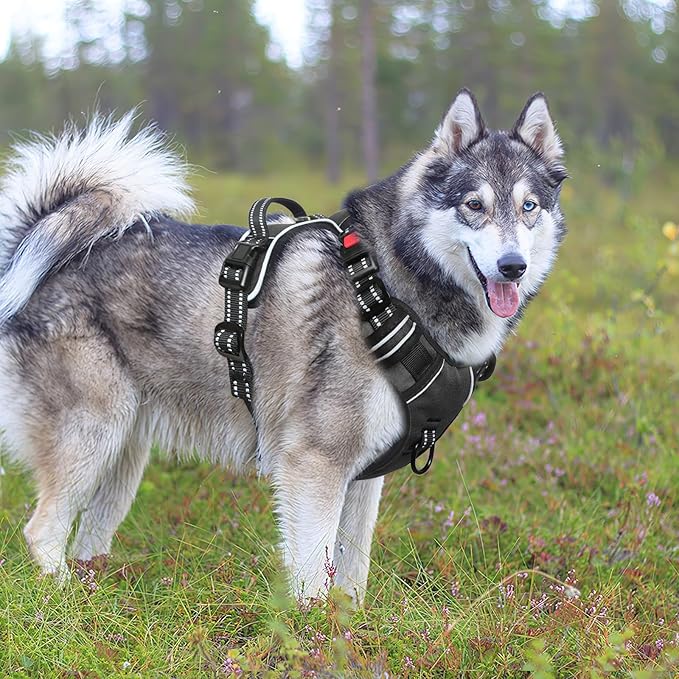 Timos Dog Harness, No-Pull Pet Harness with 2 Leash Clips, 3 Snap Buckles Adjustable Soft Padded Dog Vest, Reflective No-Choke Pet Oxford Vest with Easy Control Handle for Small Medium Large Dogs Timos