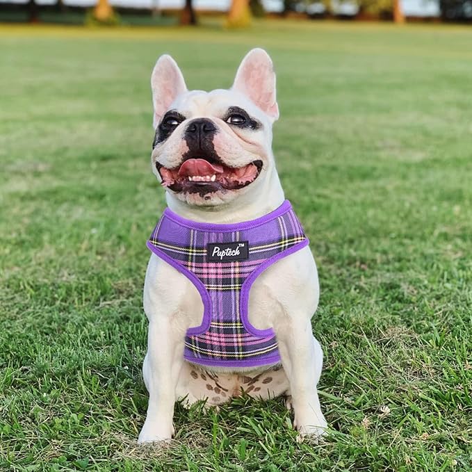 PUPTECK Soft Mesh Dog Harness and Leash Set Pet Puppy Cat Comfort Padded Vest No Pull Harnesses, Purple, M PUPTECK
