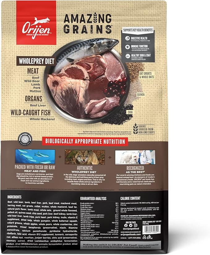 ORIJEN Amazing Grains Regional RED Dry Dog Food, High Protein Dog Food for All Life Stages, Fresh or Raw Ingredients, 4lb - PAWPICO