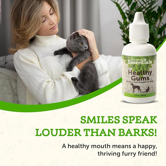 Animal Essentials Healthy Gums for Dogs & Cats - Dental Care, Mouth & Gum Support, Dental Drops, All Natural Pet Supplement, Oral Care - 1 Fl Oz AnimalEssentials