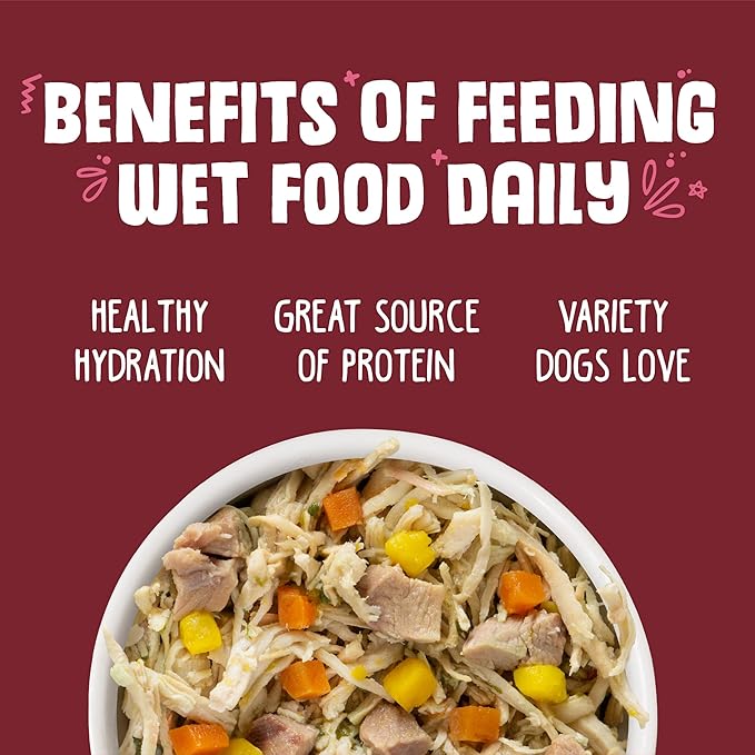 Weruva Classic Dog Food, Peking Ducken with Chicken & Duck in Gravy, 5.5oz Can (Pack of 24), Multi - PAWPICO