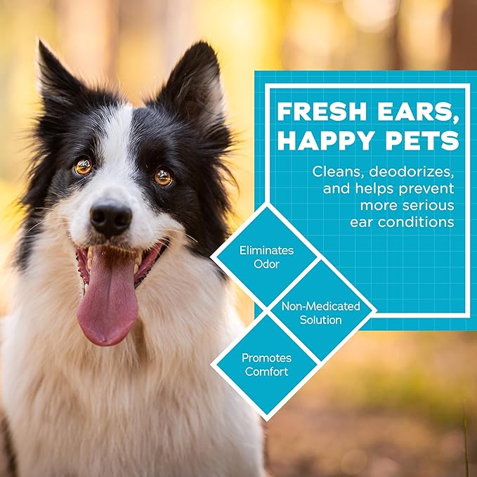 Dog Ear Wipes - Otic Cleaning Wipes for Infections and Controlling Ear Infections and Ear Odor in Pets - EarWELL by VetWELL - 100 Count VetWELL