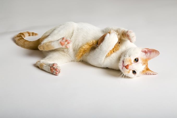 HARTZ Just For Cats Running Rodent Vibrating Plush Mouse Cat Toy - PAWPICO