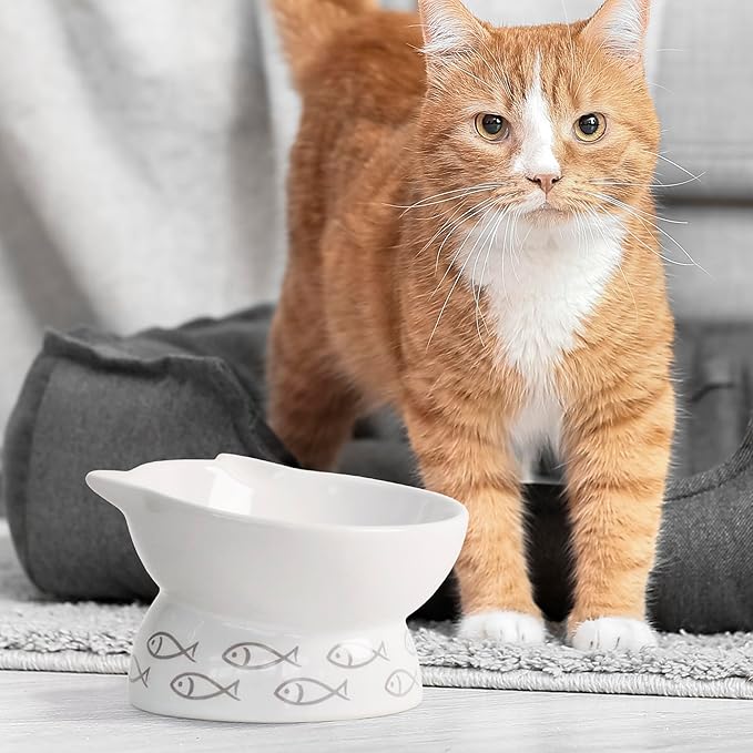 Kaiikai’s Elevated Cat Bowls and Dog Food Bowls 13 oz Ceramic Water Dog Bowls Medium and Small Sized Dog 5 Inch Tilted Cat Water Bowl Raised Cat Food Bowls Dog and Cat Supplies Small Cat Face Bowl - PAWPICO