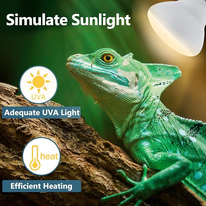 LUCKY HERP Heat Lamp Bulbs - 150W Reptile Heat Lamp 2 Pack, Daylight Basking Heat Lamp Bulbs for Reptile, UVA Heat Light Bulb for Reptiles, Amphibians, Bearded Dragons, Lizards, Turtles, Chickens LUCKYHERP