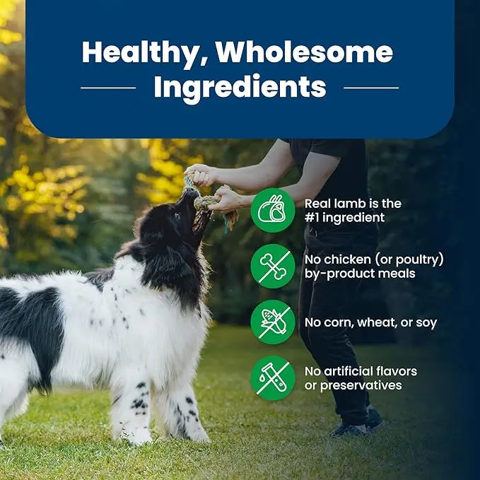 Blue Buffalo Life Protection Formula Adult Dry Dog Food, Helps Build and Maintain Strong Muscles, Made with Natural Ingredients, Lamb & Brown Rice Recipe, 15-lb. Bag - PAWPICO