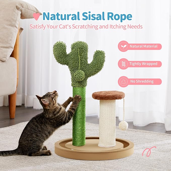 Made4Pets Cat Scratching Post, 21.7" Cactus Kitten Scratcher for Indoor Cats, Mushroom Cute Cat Tree with Sisal Scratch Post, Interactive Game Track Balls with Sturdy Wood Base for Small Kitty - PAWPICO