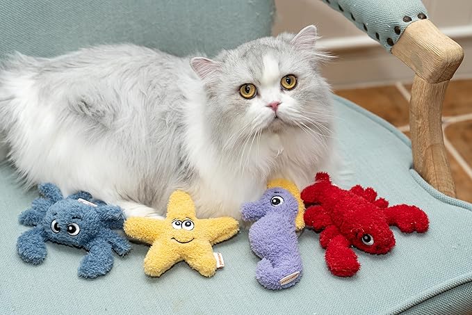 Interactive Catnip Cat Plush Toy, Ocean Theme, 5'', for All Breed Size Cats (Starfish) - PAWPICO