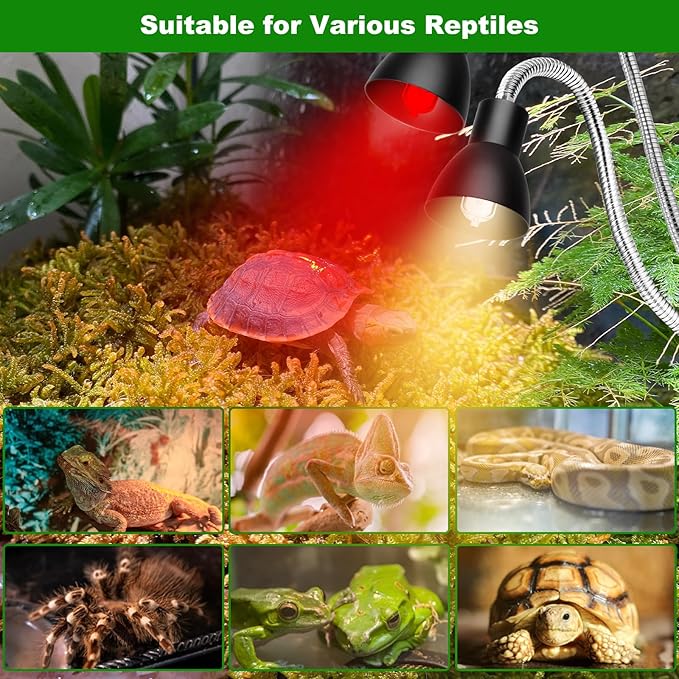 Heat Lamp for Reptile,UVA UVB Light for Turtle,Bearded Dragon Basking Light Bulbs,Dimmable 360°Gooseneck UV Heating Lamp W/ G9 Mini Halogen Bulbs 60W (White*2,Red*2) for Tortoise/Snake/Lizard JaenmsaHalogenLighting
