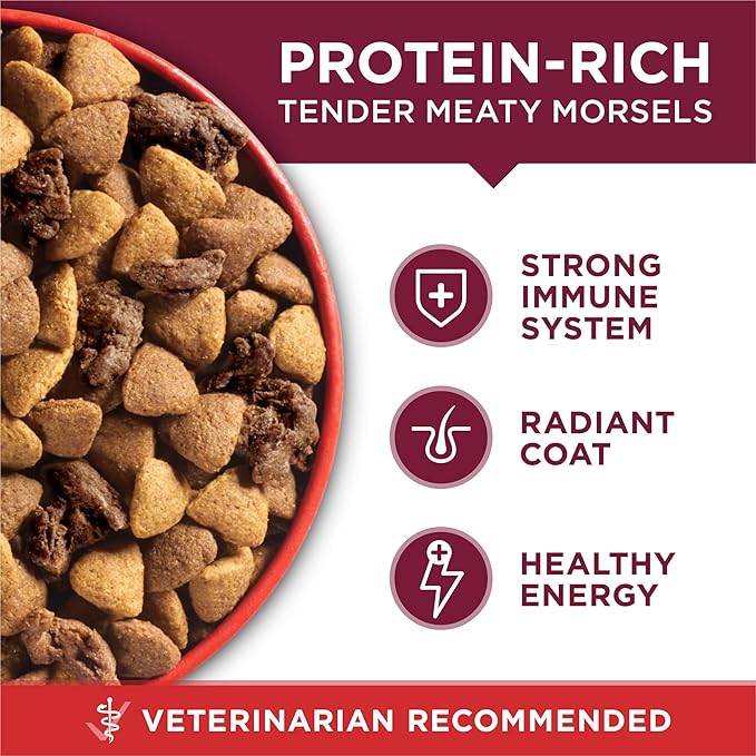 Purina ONE Small Bites Beef and Rice Formula Small High Protein Dry Dog Food Natural With Added Vitamins, Minerals and Nutrients - 16.5 lb. Bag - PAWPICO