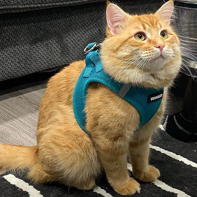 Voyager Step-in Air Dog Harness - All Weather Mesh, Reflective, No Pull Harness for Small, Medium Dogs, Cats - Secure with Hook & Loop Fastener, Buckle, Double D-Rings - Turquoise, L BestPetSuppliesLLC