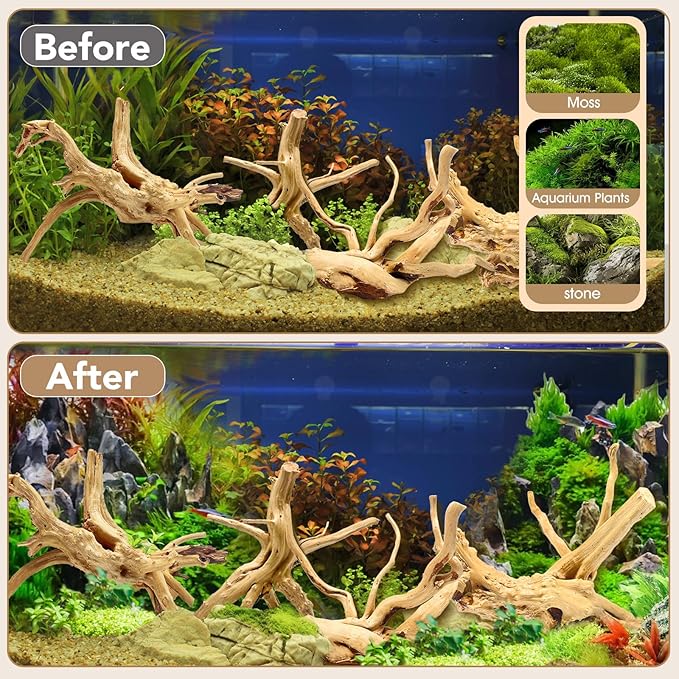 Natural Small Spiderwood Driftwood for Aquarium Decor Rptile Fish Tank Decoration Assort Branch 4-7'' 8 Pcs Jorewood