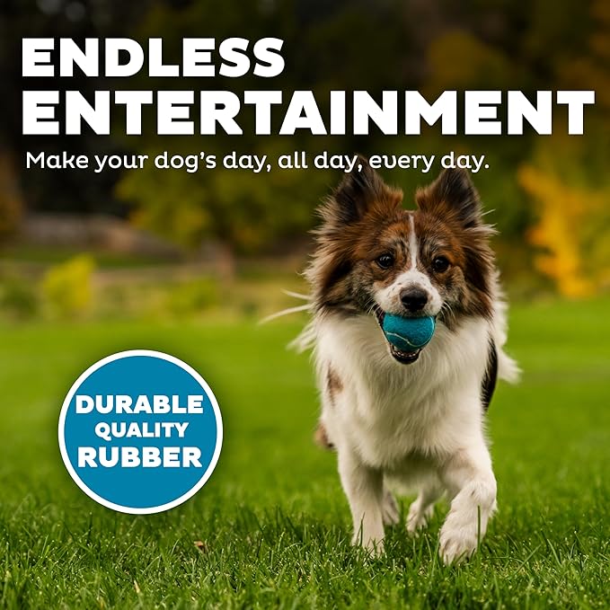 Outward Hound Squeaker Ballz Fetch Dog Toy, Small- 4 Pack - PAWPICO