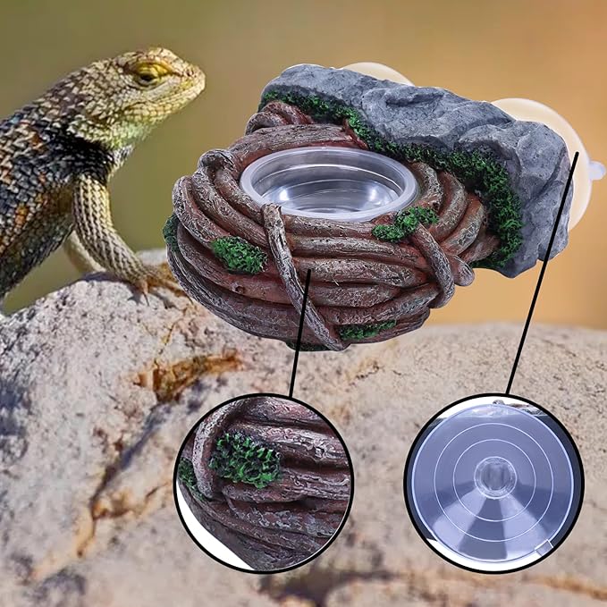 AIICIOO Vine Reptile Feeding Ledge Pet Food Bowl Water Dish Amphibian Feeder Bowl Reptile Terrarium Decor for Bearded Dragon Lizard Snake Frog Gecko Tortoise Hermit Crab AIICIOO