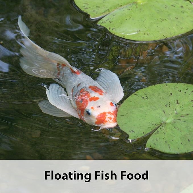 Kaytee Koi's Choice Koi Floating Fish Food, 10 Pound (Pack of 2) Kaytee