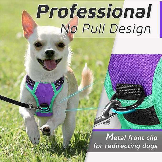 Eagloo Dog Harness for Large Dogs, No Pull Service Vest with Reflective Strips and Control Handle, Adjustable and Comfortable for Easy Walking, No Choke Harness with 2 Metal Rings, Purple & Green, XS GoExplorewithEagloo