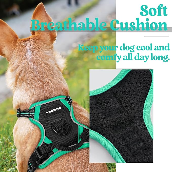 rabbitgoo Dog Harness, No-Pull Pet Harness with 2 Leash Clips, Adjustable Soft Padded Dog Vest, Reflective No-Choke Pet Oxford Vest with Easy Control Handle for Large Dogs, Black & Turquoise, X-Small - PAWPICO