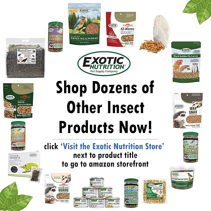 1/2 Pound Dried Crickets - High Protein Insect Treat - Chickens, Wild Birds, Hedgehogs, Bluebirds, Reptiles, Sugar Gliders, Opossums, Skunks, Lizards, Bearded Dragons, Fish, Turtles 8 oz. (1 Pack) ExoticNutrition