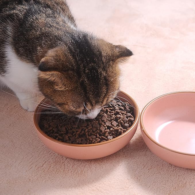 Ceramic Cat Bowls, Howise Pet Bowl Cat Dishes for Food and Water, 5.19 in Cat Food Bowl 3 Pack Pet Dishes for Cats Puppy, Matte Pink Finish - PAWPICO