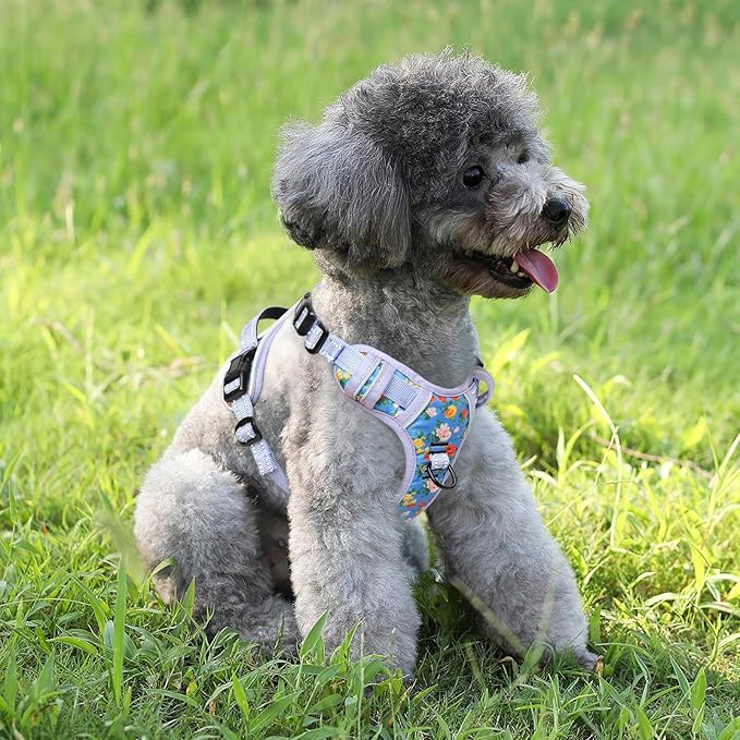 Timos Dog Harness, No-Pull Pet Harness with 2 Leash Clips, Adjustable Soft Padded Dog Vest, Reflective Outdoor Pet Oxford Vest with Easy Control Handle Timos