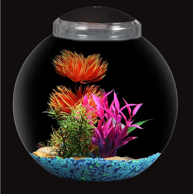 Koller Products 3-Gallon Globe Fish Bowl, Impact- Resistant Plastic Fish Tank with LED Lighting, Crystal-Clear Clarity, Desktop Aquarium Tank for Betta Nano Goldfish Peacockfish Zebrafish, Home Décor DISCOVERTHEEXCITINGWORLDOFKEEPINGTROPICALFISH