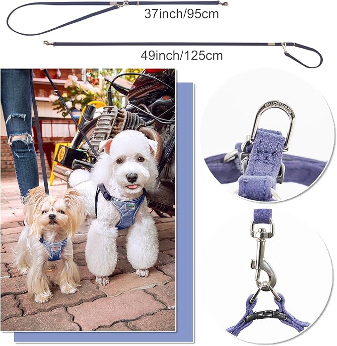 Puppytie No Pull xs Dog Harness with Multifunction Dog Leash,Soft Adjustable No Choke Escape Proof Pet Harness Vest,Glossy Sapphire Blue,XXS Puppytie